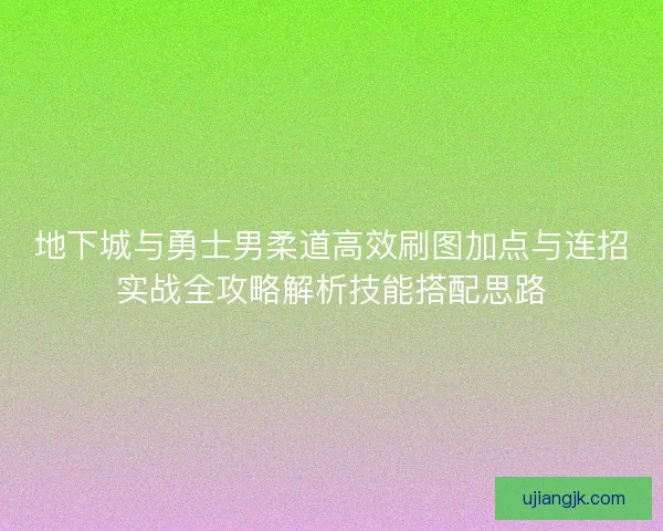 地下城与勇士男柔道高效刷图加点与连招实战全攻略解析技能搭配思路