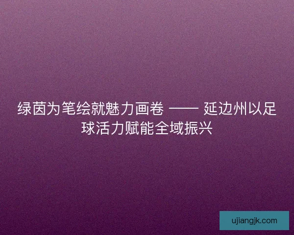 绿茵为笔绘就魅力画卷 —— 延边州以足球活力赋能全域振兴